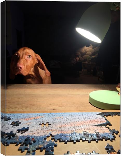 Puzzled! Canvas Print by suzie Attaway