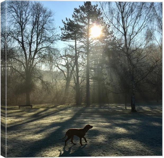 Frosty morning  Canvas Print by suzie Attaway