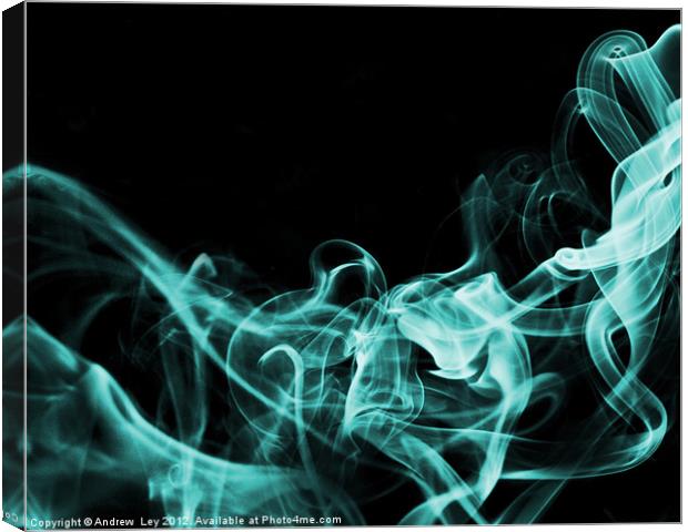 Smoking the blues away Canvas Print by Andrew Ley