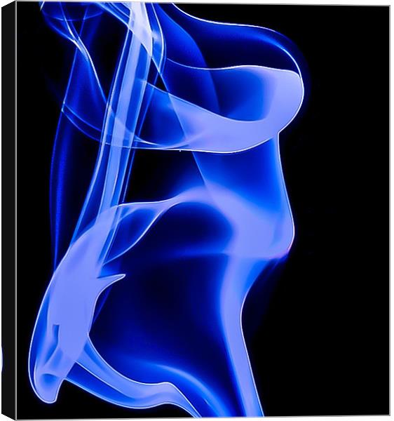Blue smoke Macro Art Canvas Print by Andrew Ley