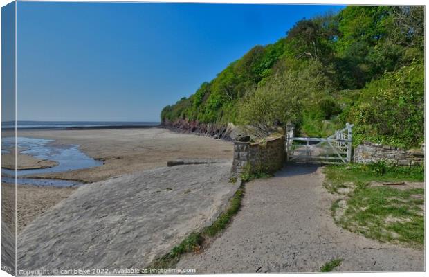 llansteffan Canvas Print by carl blake