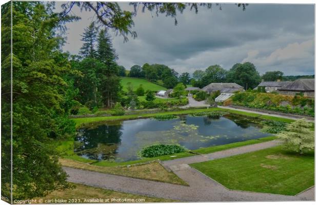 aberglasney pond Canvas Print by carl blake