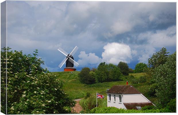 best of british Canvas Print by carl blake