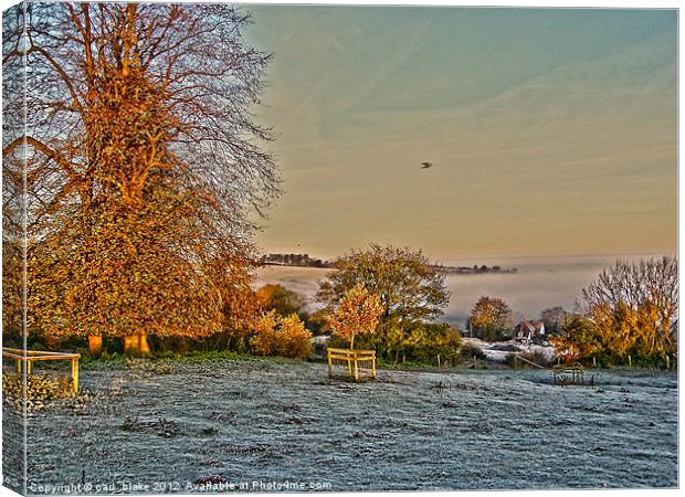 chilly morning Canvas Print by carl blake