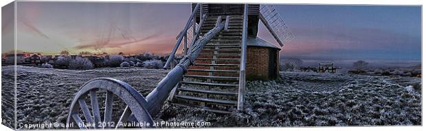 frosty day 3 Canvas Print by carl blake