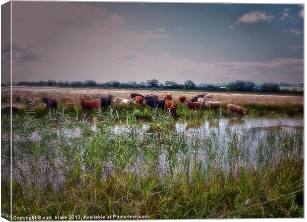 moov on Canvas Print by carl blake