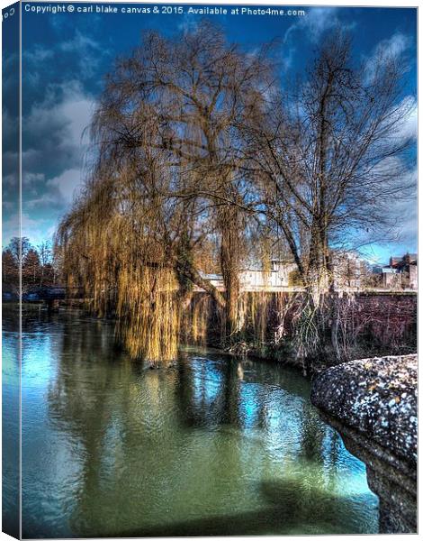 winters weeping willow  Canvas Print by carl blake