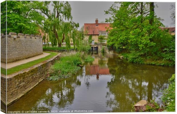 magdalen college mill Canvas Print by carl blake
