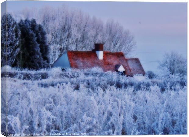 home for winter Canvas Print by carl blake