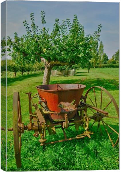 the old orchard Canvas Print by carl blake