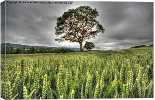 Tree Canvas Print by nick hirst