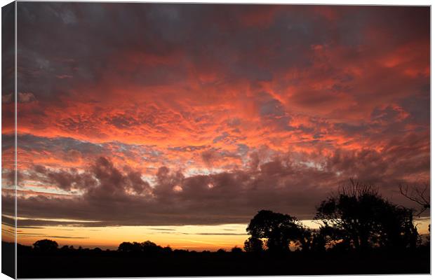 Majestic Red Sky Canvas Print by Digitalshot Photography