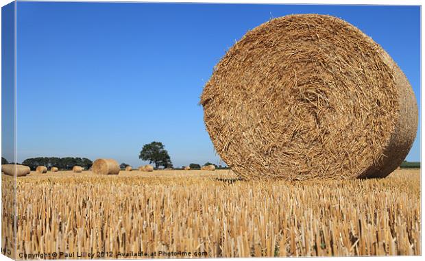 Golden Harvest Canvas Print by Digitalshot Photography