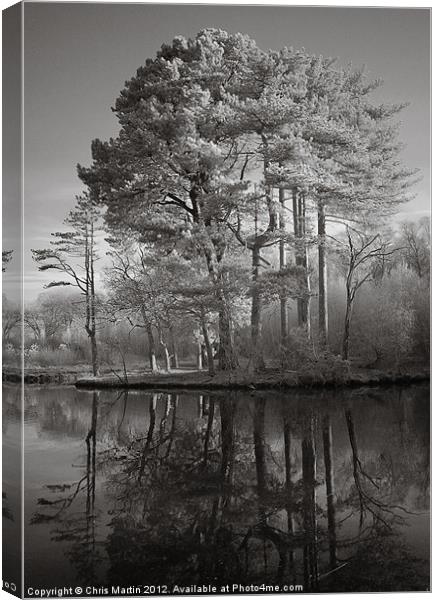 Infrared Trees with Reflection Canvas Print by Chris Martin