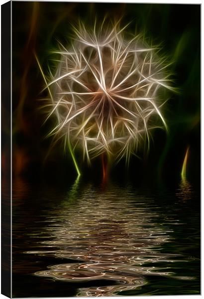 Dandelion iPhone Case Canvas Print by pixelviii Photography
