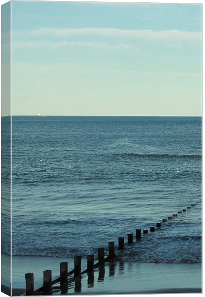Out to the North Sea Canvas Print by Shiona Dawson