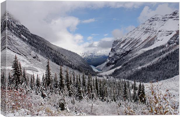 Snowy Valley,Canada Canvas Print by james green