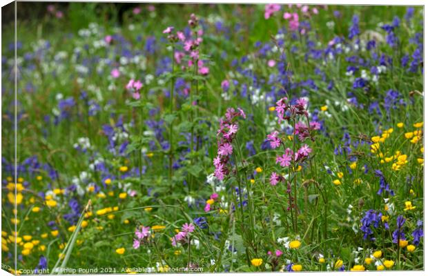 Meadow of colourful wild flowers Canvas Print by Philip Pound