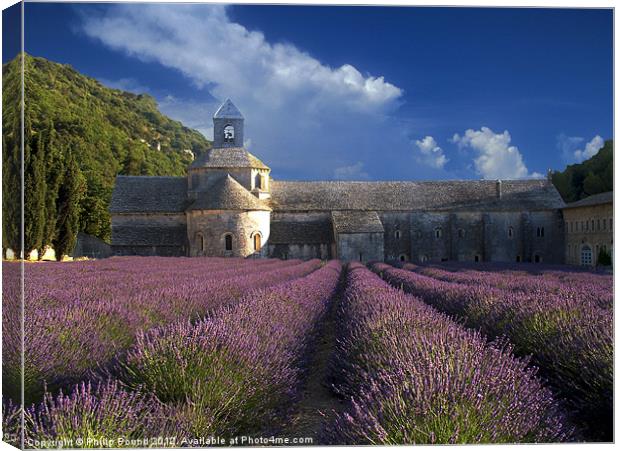 Lavender Fields in France Canvas Print by Philip Pound