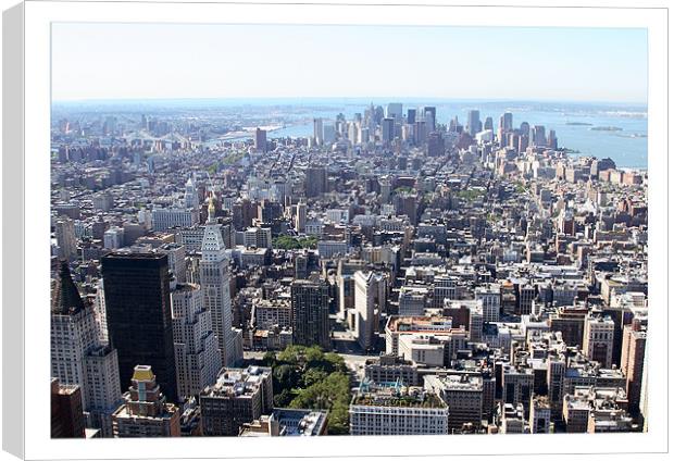 Lower Manhattan from Empire State Canvas Print by Philip Pound