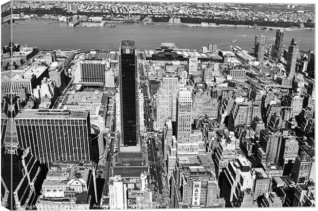 View from top Empire State Building Canvas Print by Philip Pound