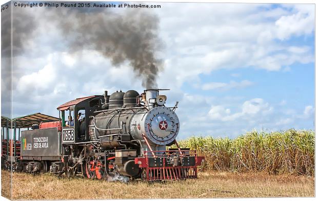  Steam Train and the Sugar Cane Fields in Cuba Canvas Print by Philip Pound