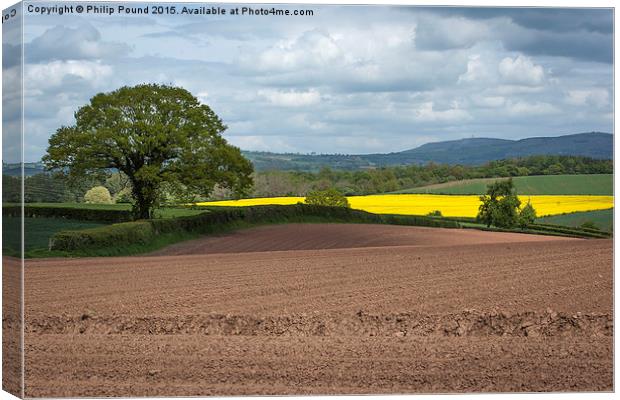  Shropshire Country View Canvas Print by Philip Pound