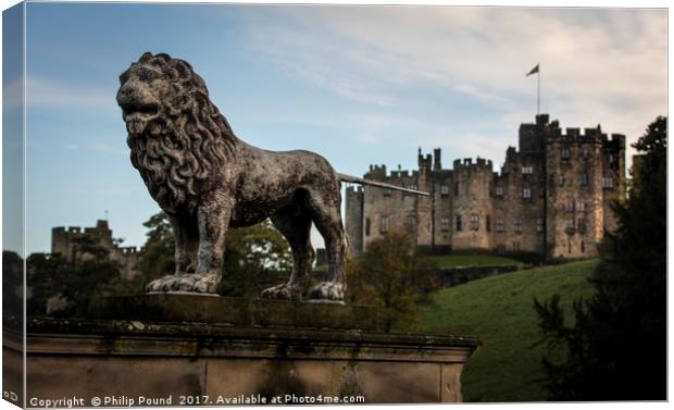 Lion at Alnwick Castle in Northumberland Canvas Print by Philip Pound