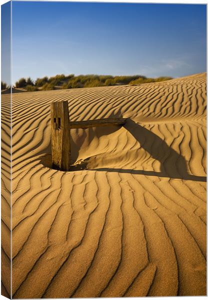 Fence post Canvas Print by mark leader