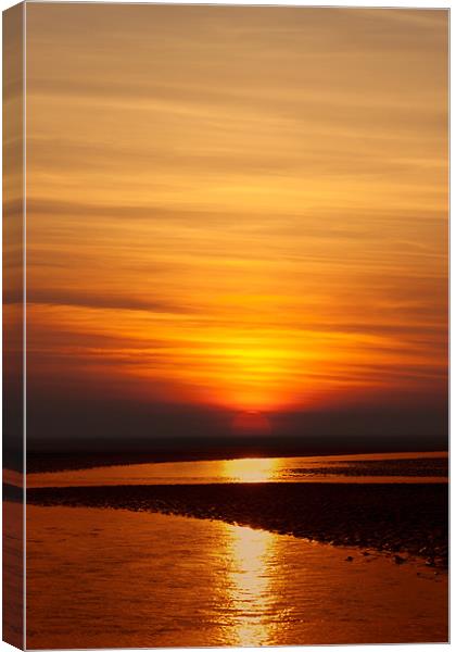 Golden Sunset Canvas Print by mark leader