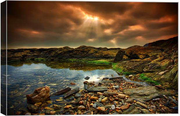 Horseley Cove rockpool Canvas Print by mark leader
