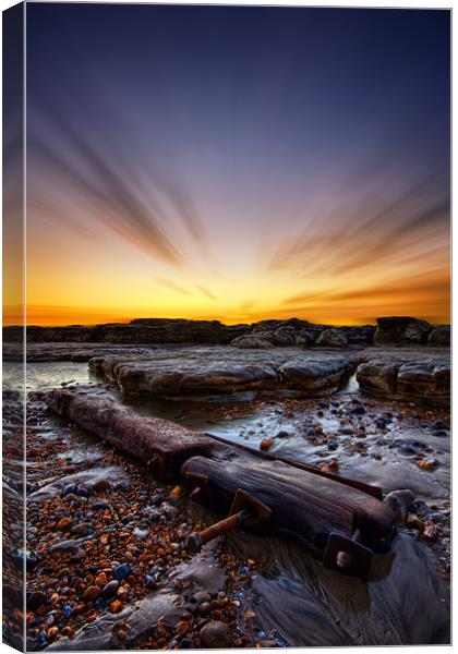 Driftwood Canvas Print by mark leader