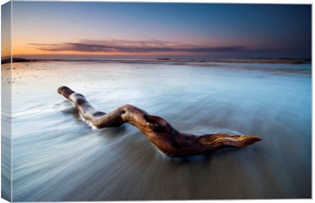 Shoreline at dawn Canvas Print by mark leader