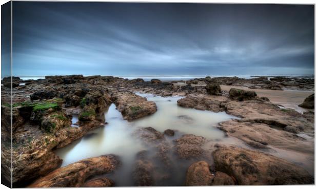 Rockpool Canvas Print by mark leader