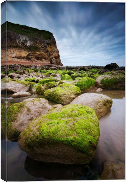 Fairlight Cove Canvas Print by mark leader