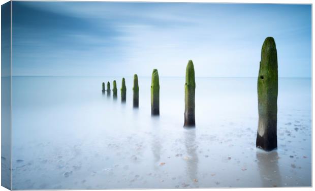 slowly disappearing Canvas Print by mark leader