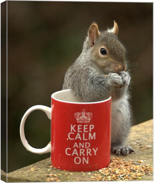 Keep Calm and Nibble Nuts Canvas Print by Brian Fuller
