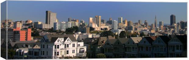 Painted Ladies Canvas Print by Terry Willmer