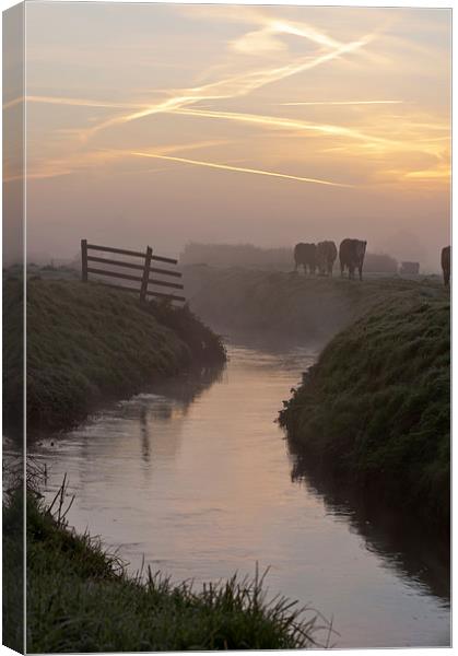 Morning moments Canvas Print by mike Davies