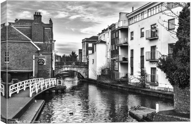 Newbury and the River Kennet Canvas Print by Ian Lewis