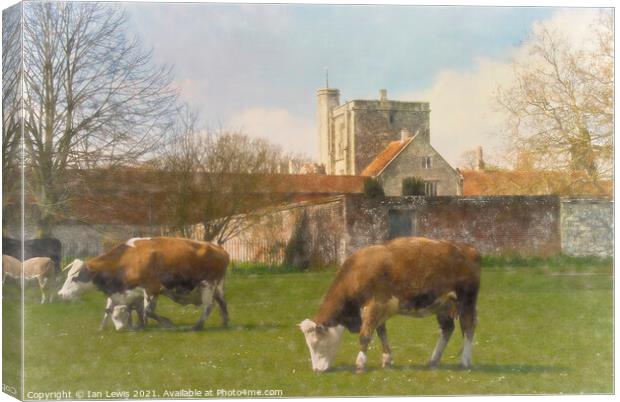 Cows and Calves by St Cross Canvas Print by Ian Lewis