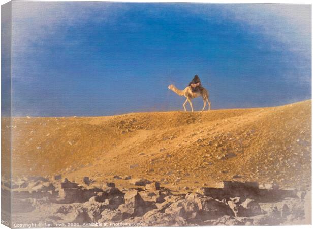 Lone Rider in the Sahara Sands Canvas Print by Ian Lewis