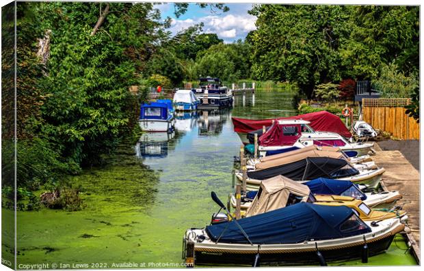 Boats Moored Above Goring Mill Canvas Print by Ian Lewis