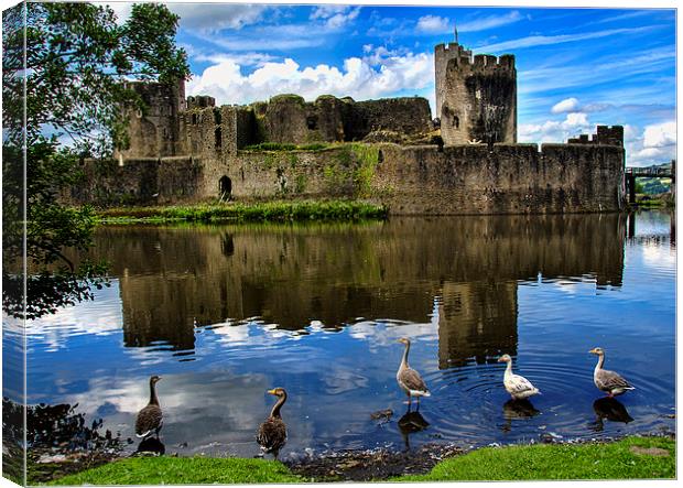 Caerphilly Castle Canvas Print by Ian Lewis