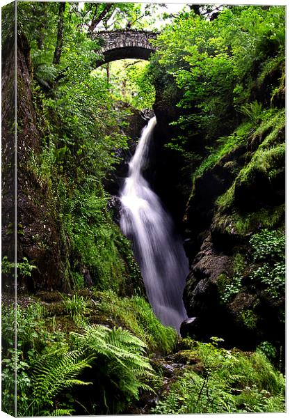 Aira Force, Cumbria Canvas Print by Ian Lewis