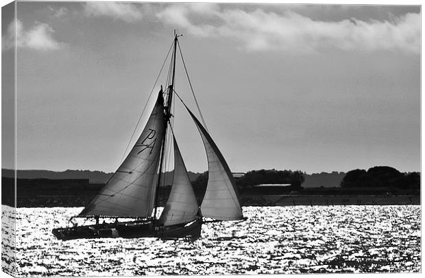 Sailing Home Canvas Print by Ian Lewis
