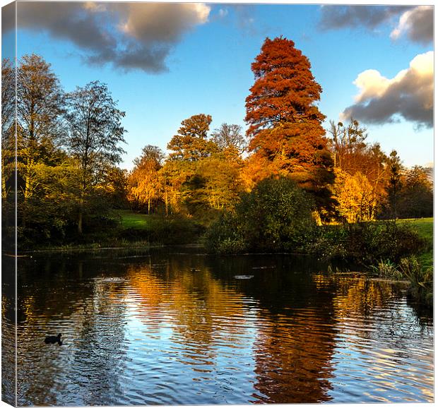 Autumn Reflections Canvas Print by Ian Lewis