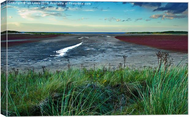 Layers of Colour at Holkham Canvas Print by Ian Lewis