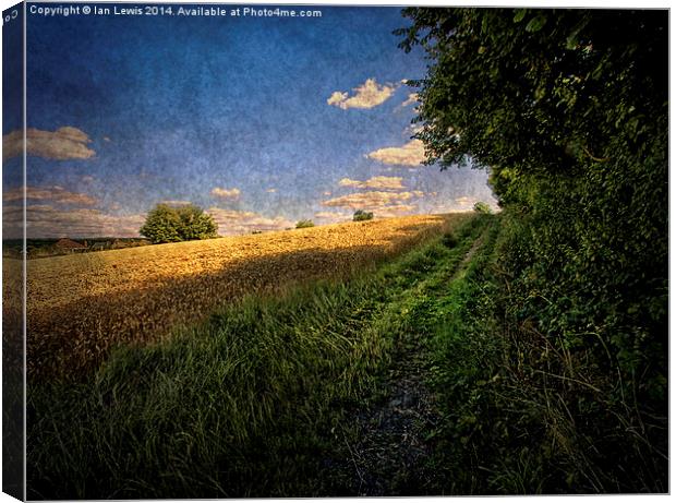  Path By The Field Canvas Print by Ian Lewis