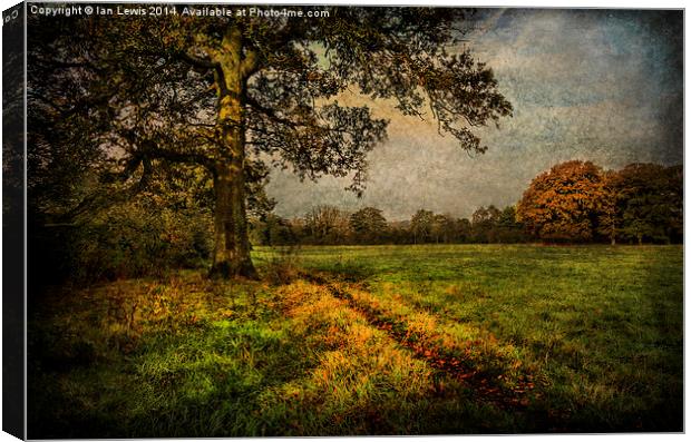 Tranquil Autumnal Pathway Canvas Print by Ian Lewis
